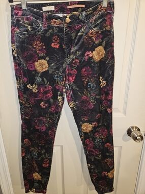 Anthropologie Pilcro Floral Velvet Skinny Jeans